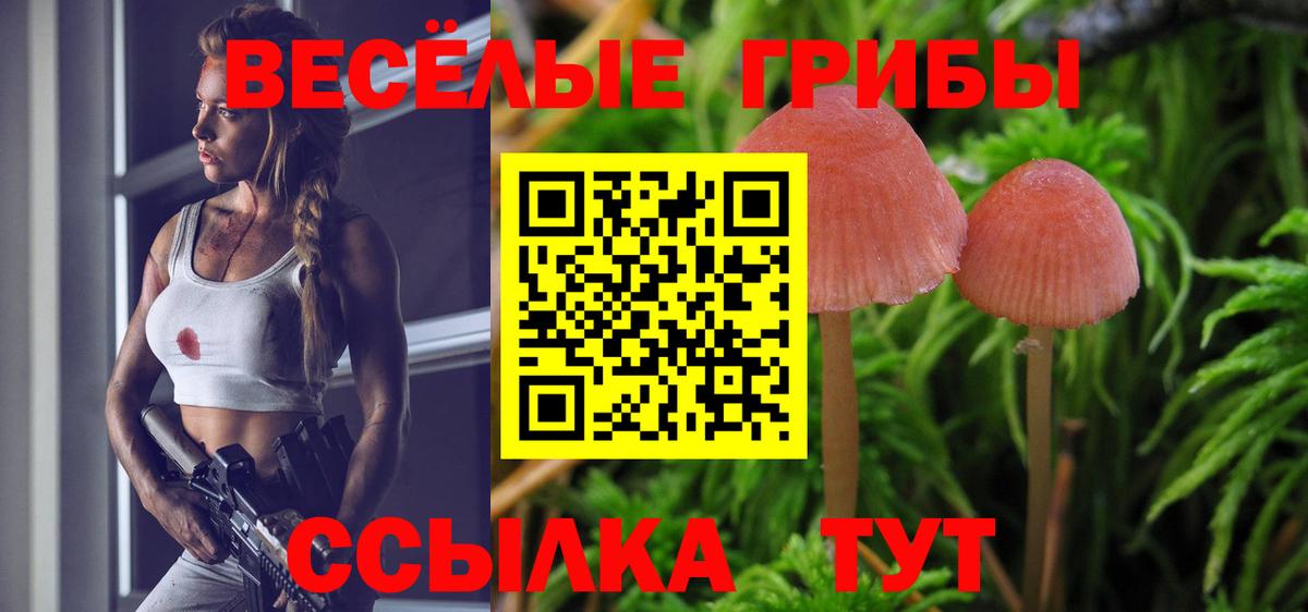 Новый Уренгой  Галлюциногенные грибы MAGIC MUSHROOMS  Вход с VPN 