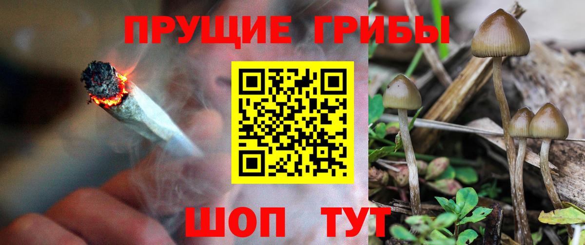 Псилоцибиновые грибы GOLDEN TEACHER Новый Уренгой