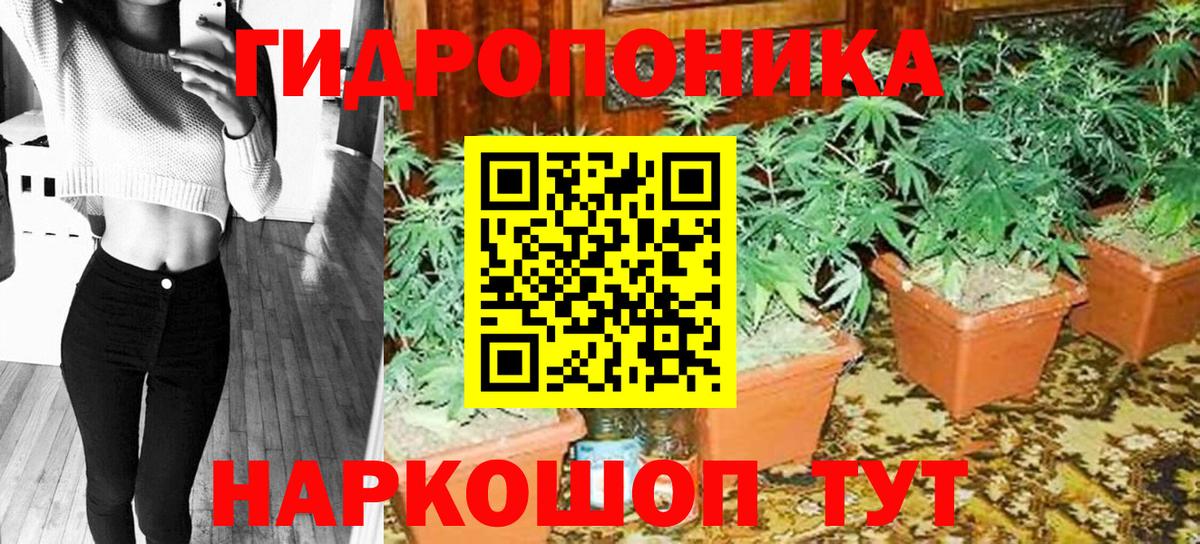 Каннабис гибрид  Каннабис план  Бошки марихуана MAZAR  Бошки Шишки тримм  Вход с VPN  Новый Уренгой 